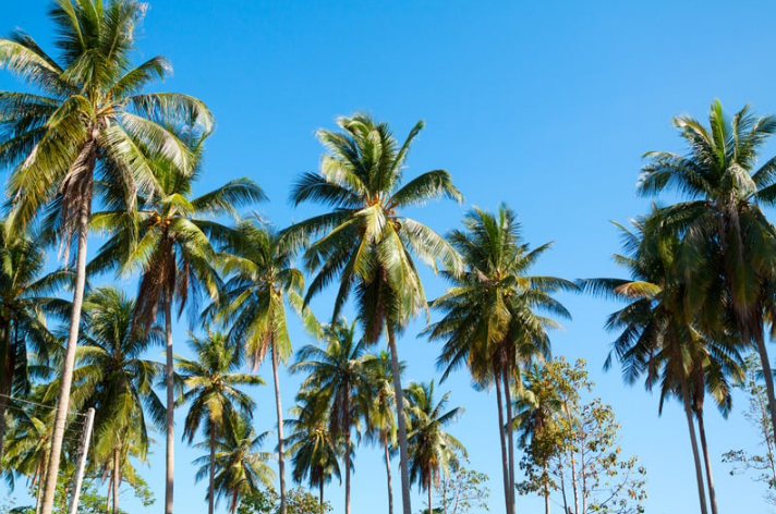 Avoiding a summer sales slump